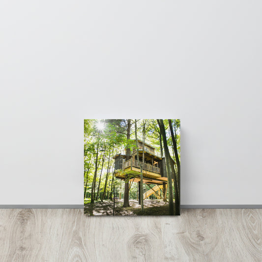 Moonlight Canvas Print