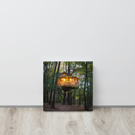 Old Pine Canvas Print