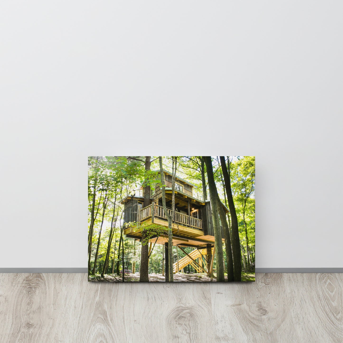Moonlight Canvas Print