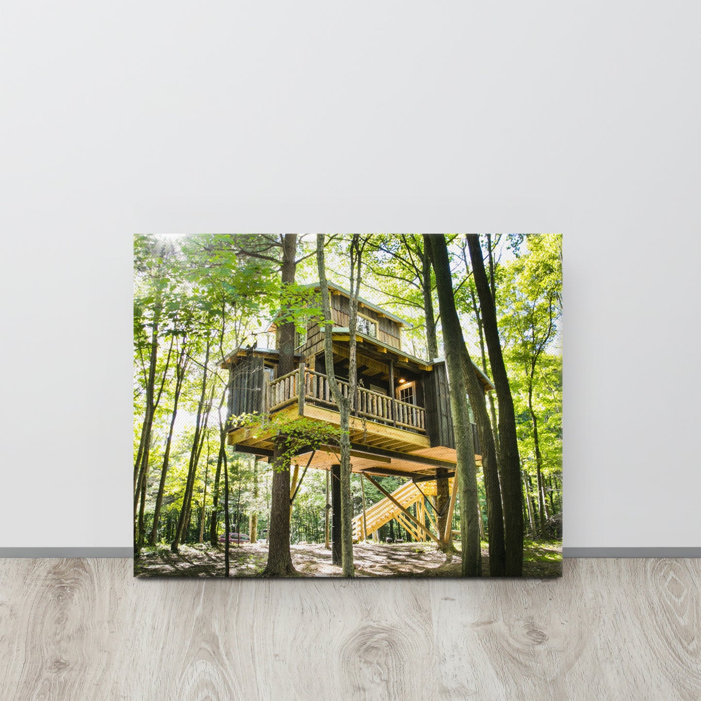 Moonlight Canvas Print