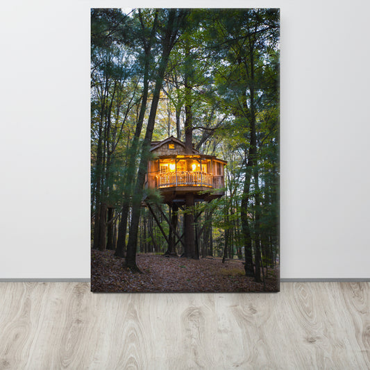 Old Pine Canvas Print