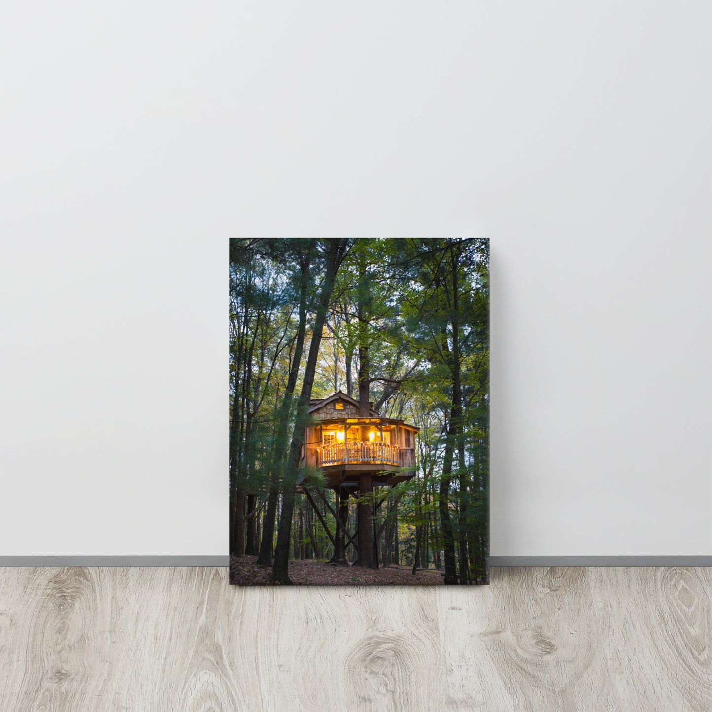 Old Pine Canvas Print