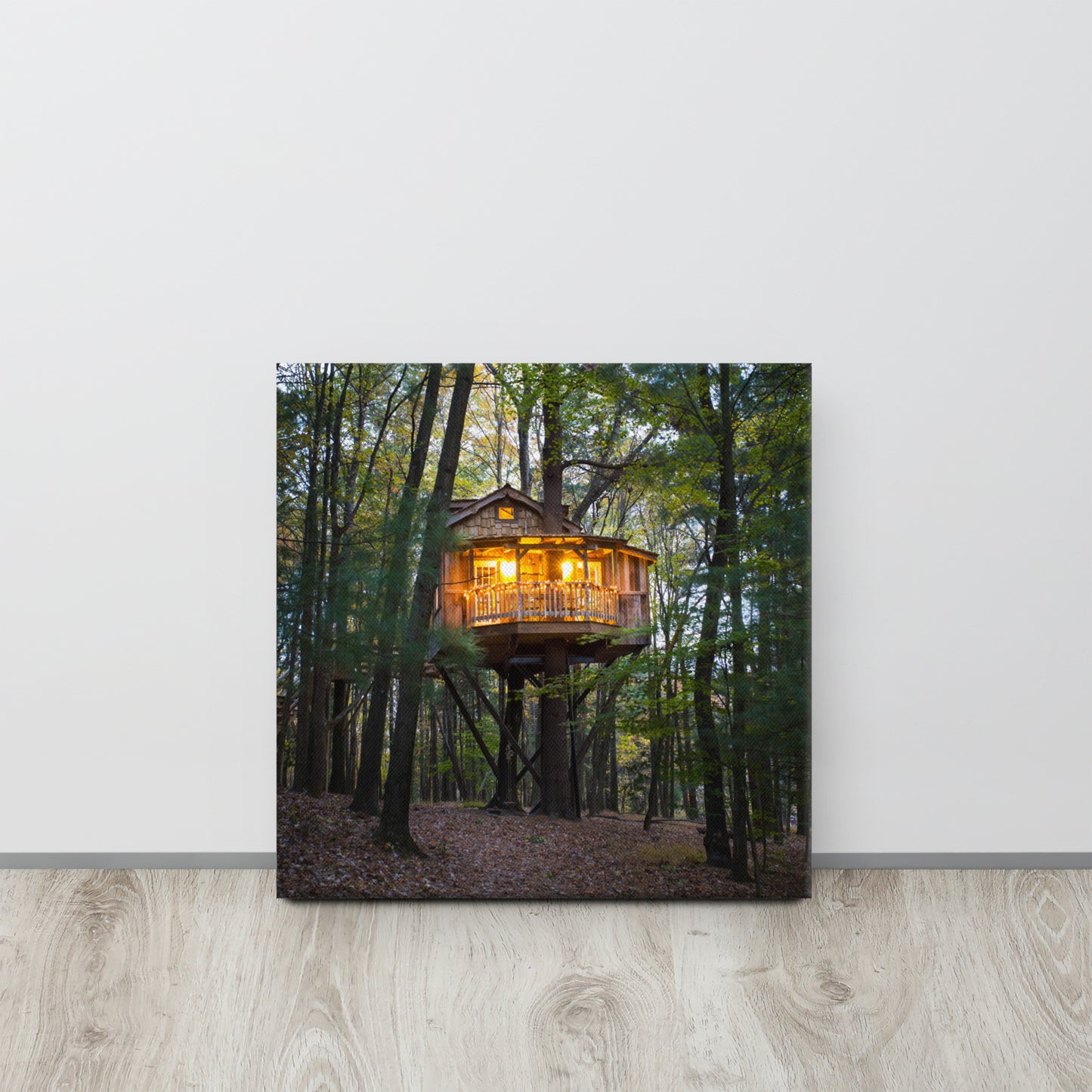 Old Pine Canvas Print