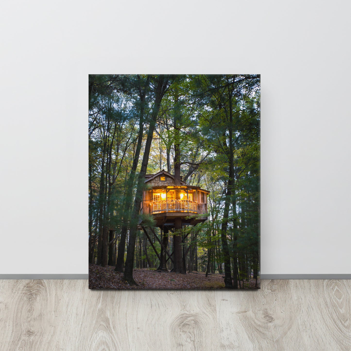 Old Pine Canvas Print